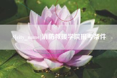 安岳消防救援学院报考条件