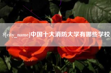 安岳中国十大消防大学有哪些学校