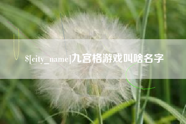 安岳九宫格游戏叫啥名字