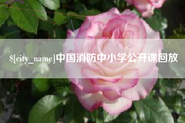 安岳中国消防中小学公开课回放