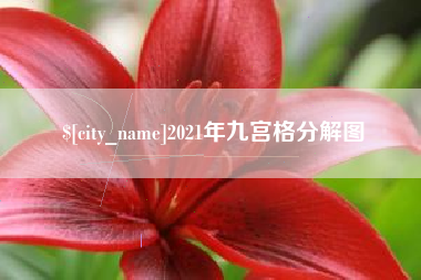 安岳2021年九宫格分解图