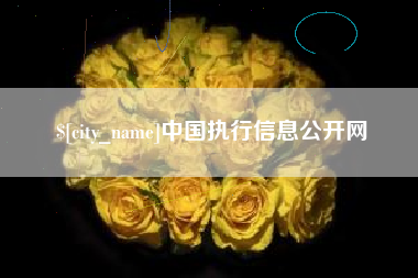 安岳中国执行信息公开网