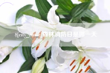 安岳森林消防日是哪一天