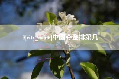 安岳中国夺金排第几