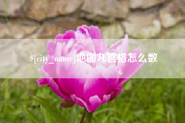 安岳地图九宫格怎么数