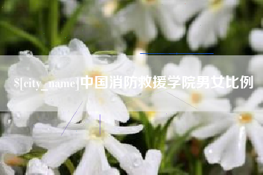 安岳中国消防救援学院男女比例