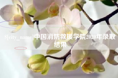 安岳中国消防救援学院2020年录取结果