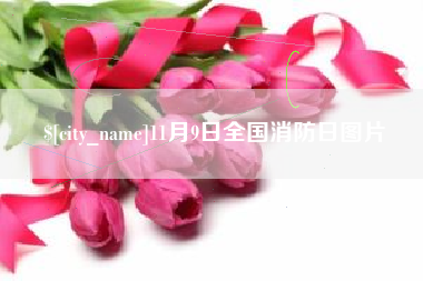 安岳11月9日全国消防日图片