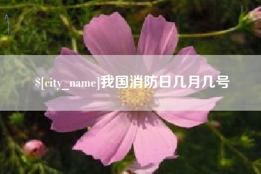 安岳我国消防日几月几号