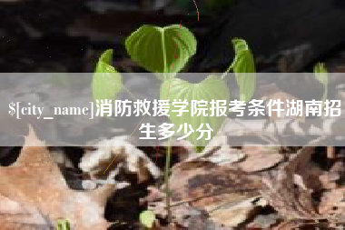 安岳消防救援学院报考条件湖南招生多少分