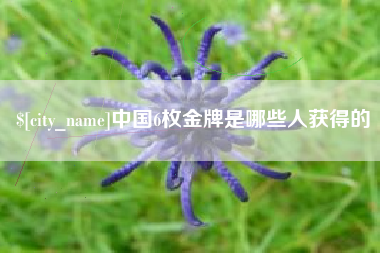 安岳中国6枚金牌是哪些人获得的