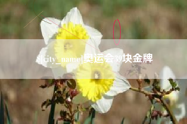 安岳奥运会39块金牌