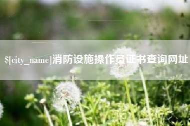 安岳消防设施操作员证书查询网址