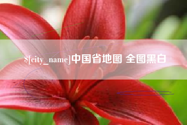 安岳中国省地图 全图黑白
