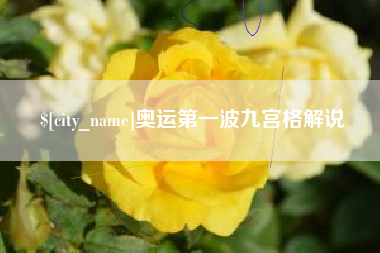 安岳奥运第一波九宫格解说