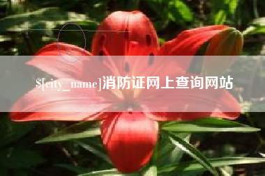 安岳消防证网上查询网站