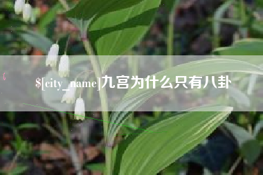 安岳九宫为什么只有八卦
