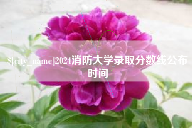 安岳2024消防大学录取分数线公布时间