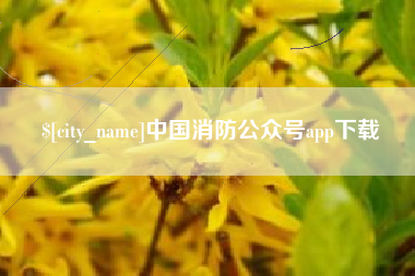 安岳中国消防公众号app下载