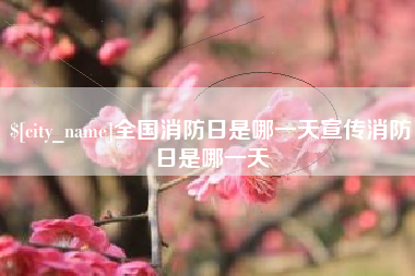 安岳全国消防日是哪一天宣传消防日是哪一天