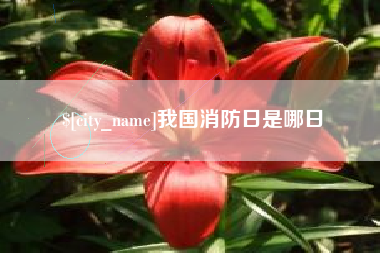 安岳我国消防日是哪日