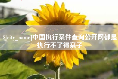 安岳中国执行案件查询公开网都是执行不了得案子