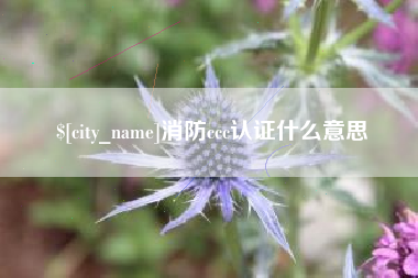 安岳消防ccc认证什么意思