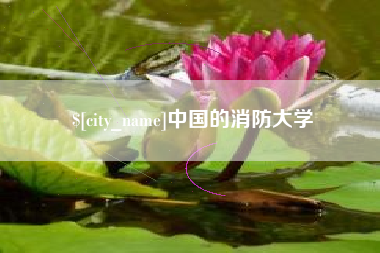 安岳中国的消防大学