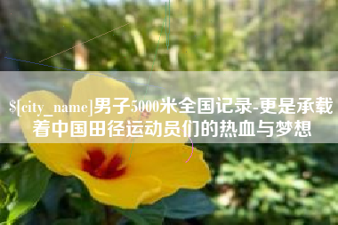 安岳男子5000米全国记录-更是承载着中国田径运动员们的热血与梦想