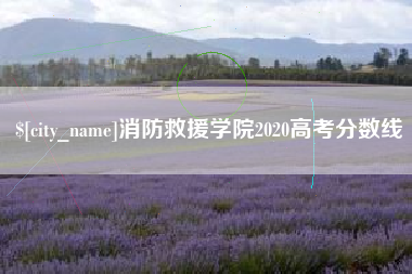 安岳消防救援学院2020高考分数线