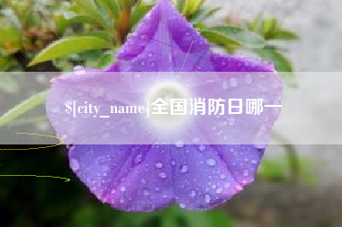 安岳全国消防日哪一