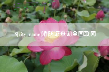 安岳消防证查询全国联网
