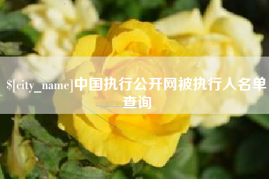 安岳中国执行公开网被执行人名单查询