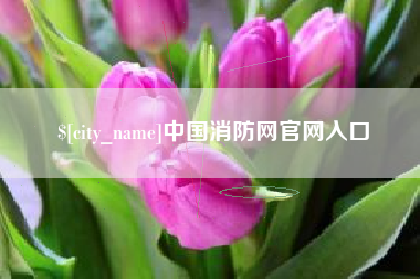 安岳中国消防网官网入口