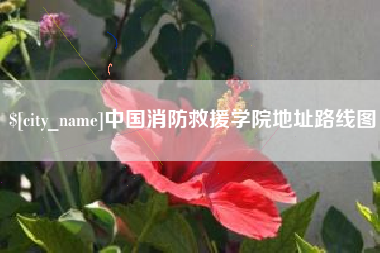 安岳中国消防救援学院地址路线图