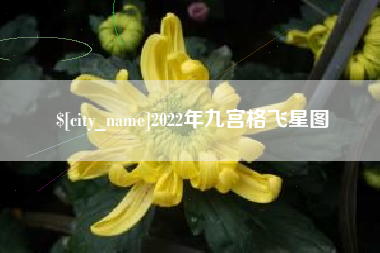 安岳2022年九宫格飞星图