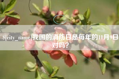 安岳我国的消防日是每年的11月9日对吗？