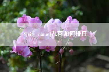 安岳九宫如何排日