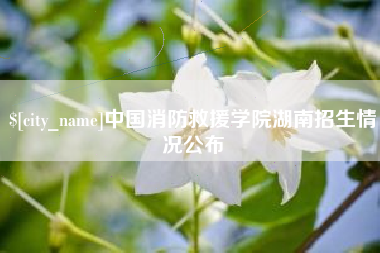 安岳中国消防救援学院湖南招生情况公布