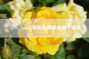 安岳中国金牌都是哪个项目