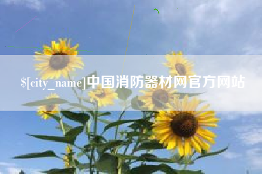 安岳中国消防器材网官方网站