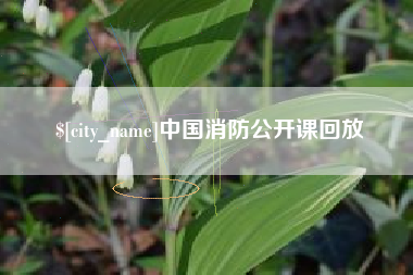 安岳中国消防公开课回放
