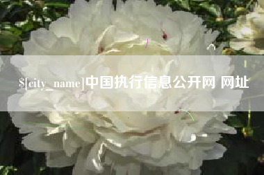 安岳中国执行信息公开网 网址
