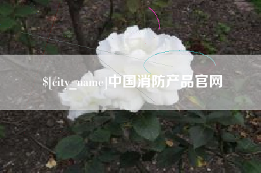 安岳中国消防产品官网