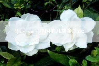 安岳中国的几块金牌2021