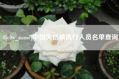 安岳中国失信被执行人员名单查询