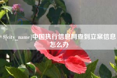 安岳中国执行信息网查到立案信息怎么办