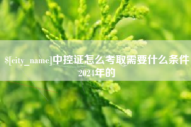 安岳中控证怎么考取需要什么条件2024年的
