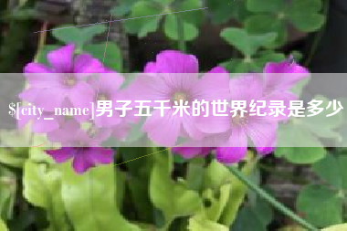 安岳男子五千米的世界纪录是多少