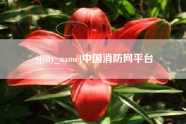 安岳中国消防网平台